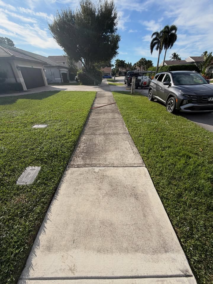 Sidewalk before cleaning